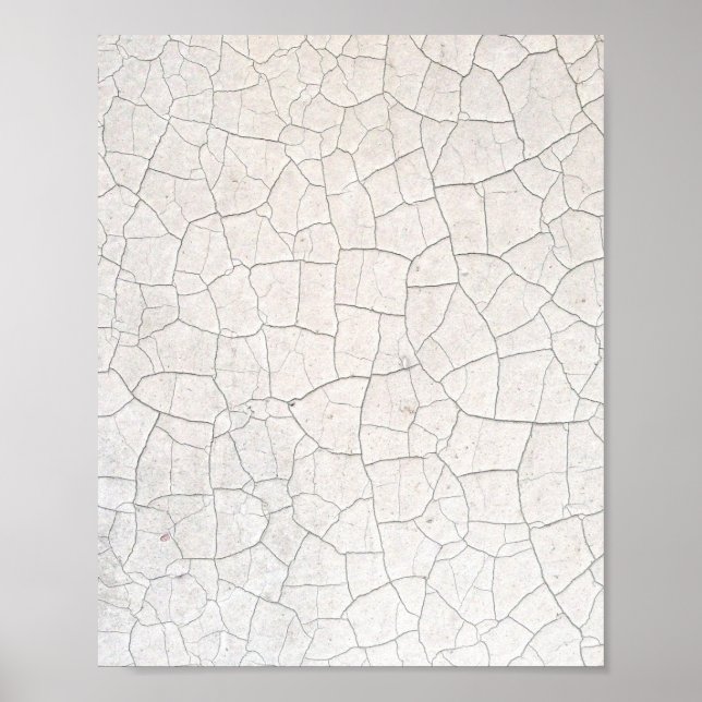 Cracked Surface Poster (Front)