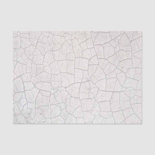Cracked Surface Tissue Paper (Front)