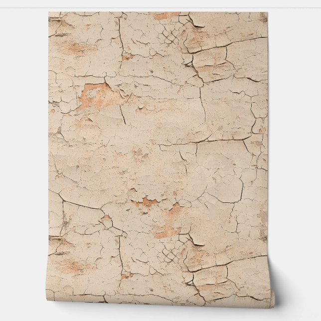 Cracked Textured Beige Painted Stucco Wall  (Unrolling)
