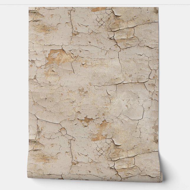 Cracked Textured Painted Stucco Wall  (Unrolling)