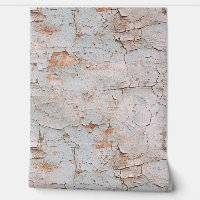 Cracked Textured Painted Stucco Wall