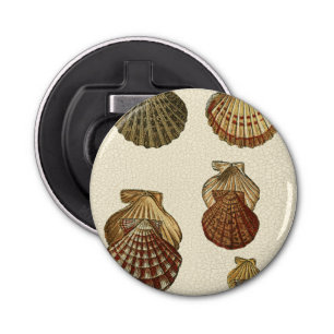 Crackled Antique Shells Bottle Opener