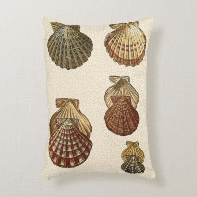 Crackled Antique Shells Decorative Cushion (Front(Vertical))