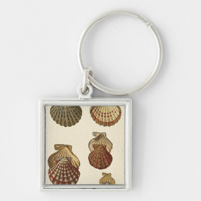 Crackled Antique Shells Key Ring (Front)
