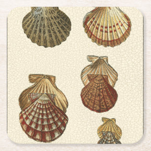 Crackled Antique Shells Square Paper Coaster