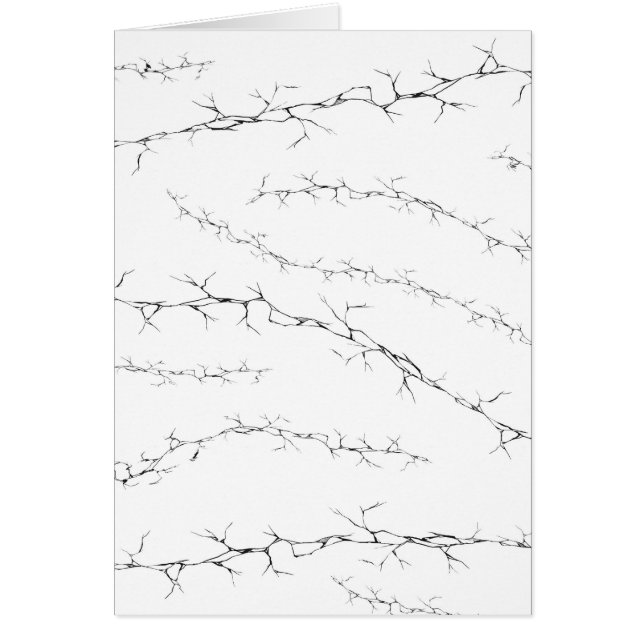 Cracks (Front)