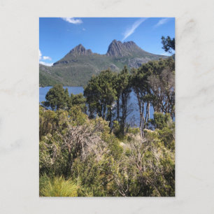 cradle mountain bush postcard
