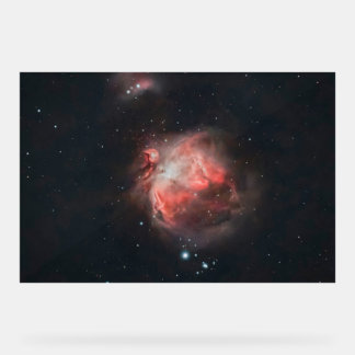 Cradle of Stars: Radiant Heart of the Orion Nebula Acrylic Sign