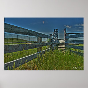 Crag Eyrie Cattle Shoot Poster