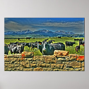 Crag Eyrie Cow Poster