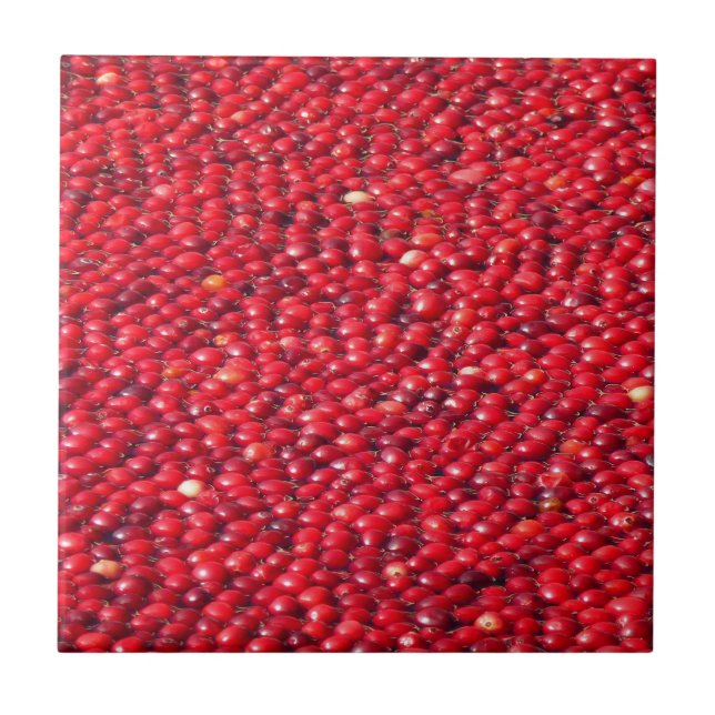 Cranberries Festive Red Ceramic Tile (Front)