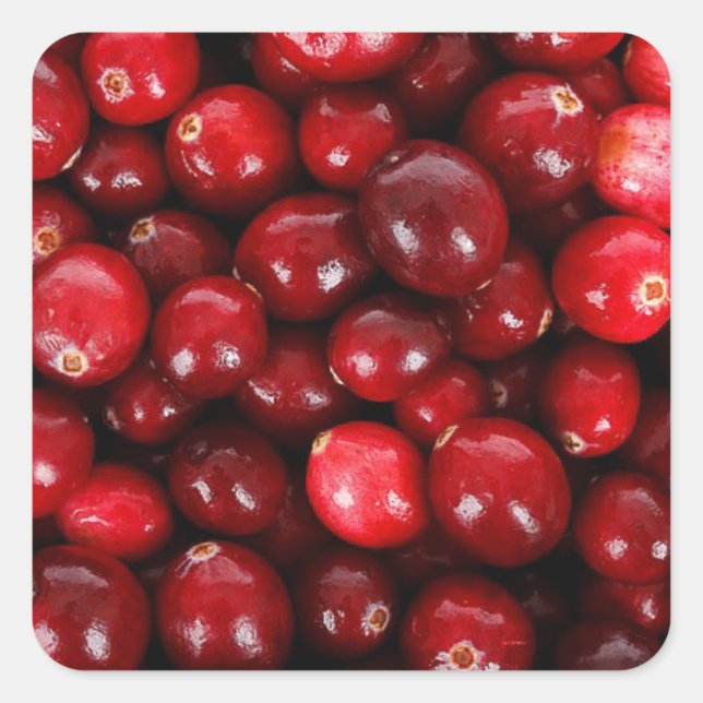 Cranberries Square Sticker (Front)
