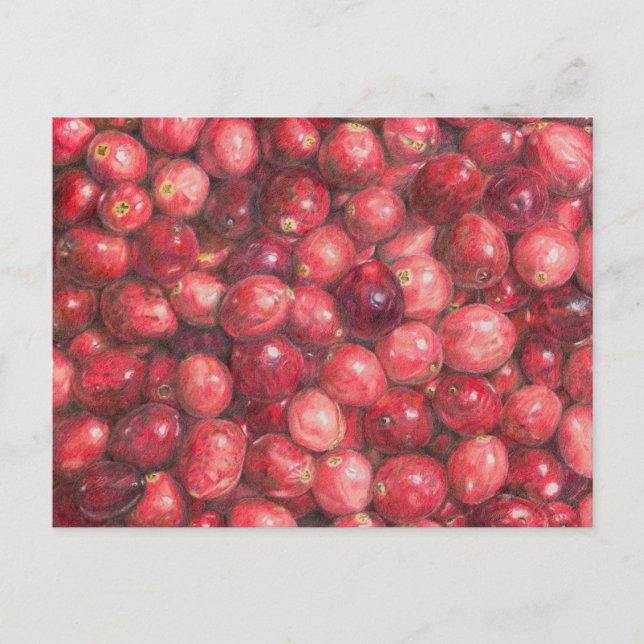 Cranberries Still Life Postcard (Front)