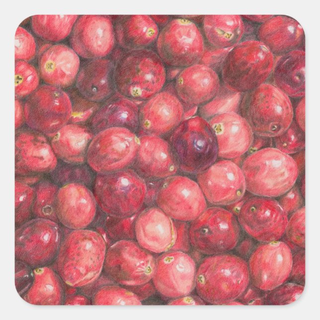 Cranberries Still Life Square Sticker (Front)