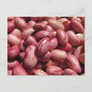 Cranberry Beans Postcard