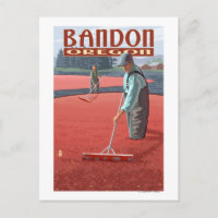 Cranberry Bogs Harvest - Bandon, Oregon