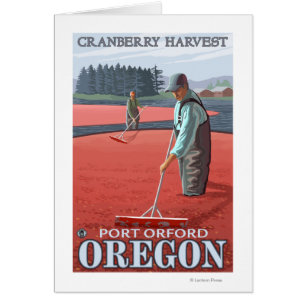 Cranberry Bogs Harvest - Port Orford, Oregon