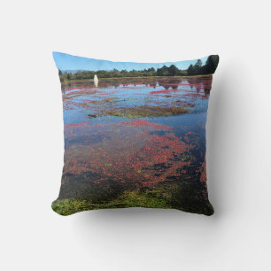 Cranberry Farm, Long Beach, Washington Cushion
