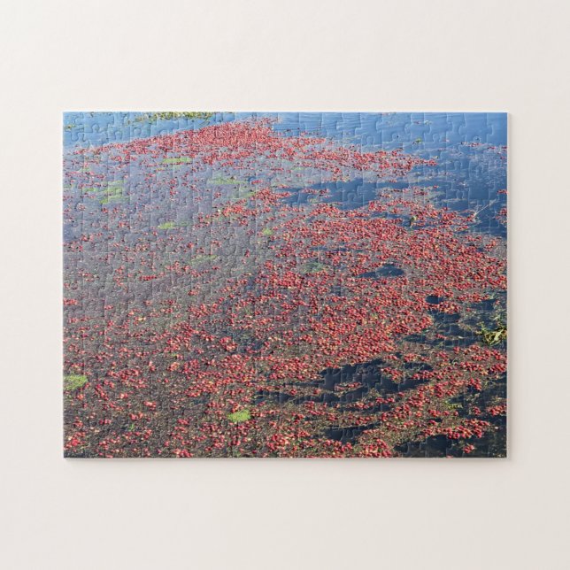 Cranberry Farm, Long Beach, Washington Jigsaw Puzzle (Horizontal)