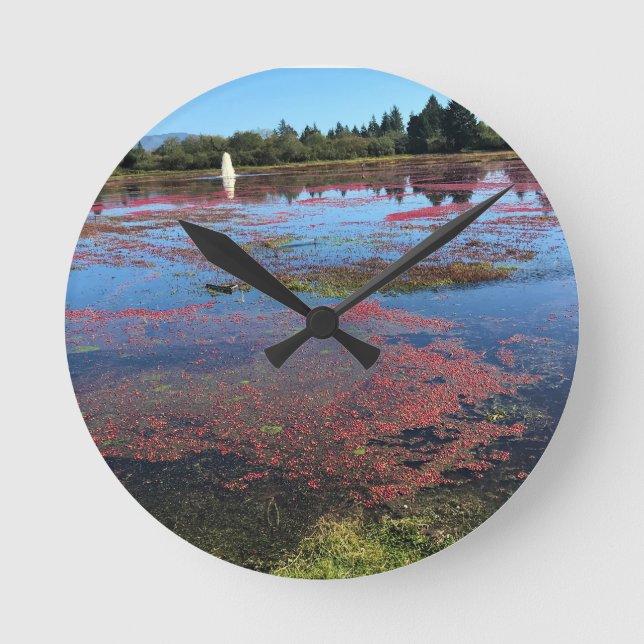 Cranberry Farm, Long Beach, Washington Round Clock (Front)