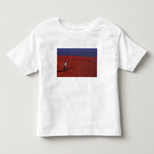 Cranberry Harvest, Middleboro, MA, USA Toddler T-Shirt