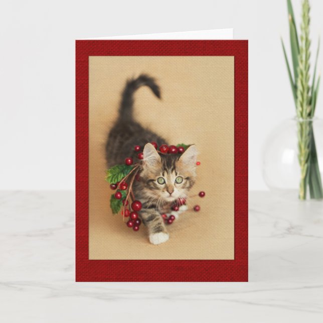 Cranberry Kitten Holiday Card (Front)