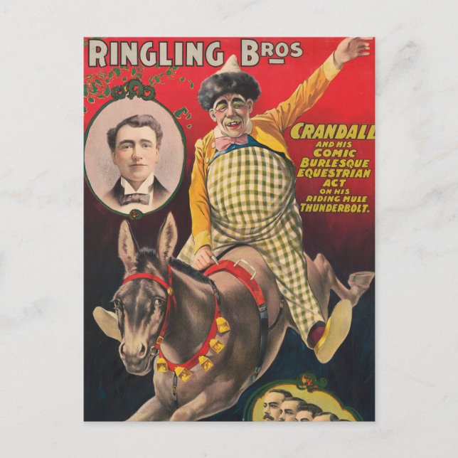 Crandall The Clown Performing With His Mule Postcard (Front)