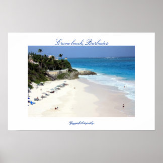 Crane beach poster