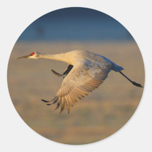 crane classic round sticker