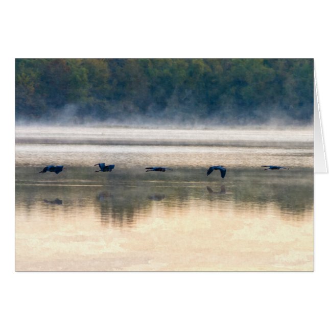 Crane Flight Painterly Card (Front Horizontal)