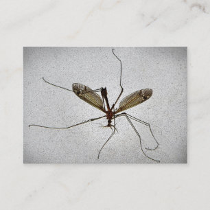 Crane Fly ATC Business Card