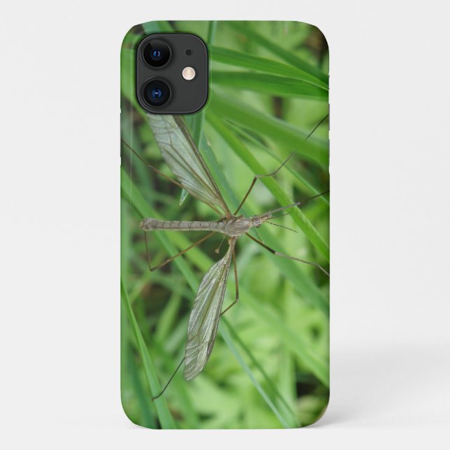Crane Fly iPhone 3 Case (Back)