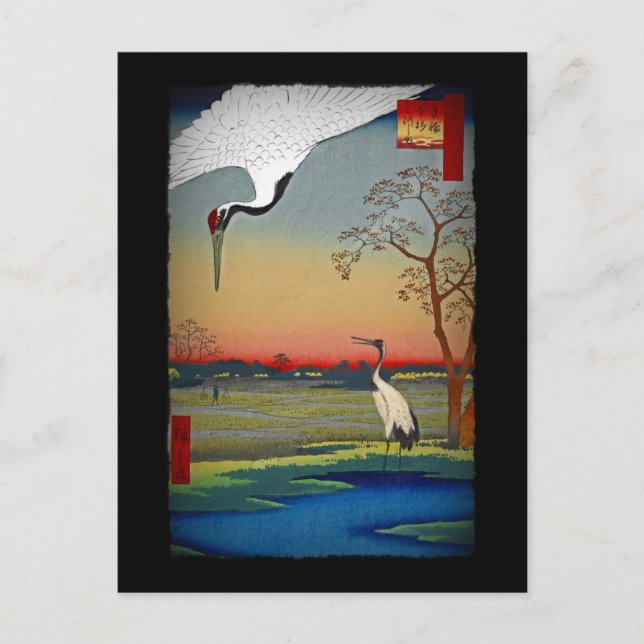 Cranes and Blue Water Postcard (Front)