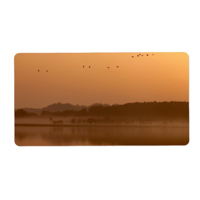 Cranes at sunrise (Front)