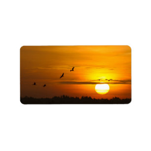 Cranes at sunrise label