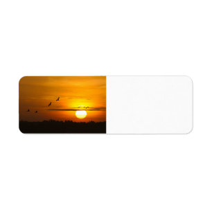 Cranes at sunrise return address label