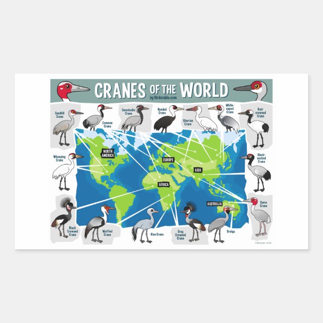 Cranes of the World Rectangular Sticker (Front)