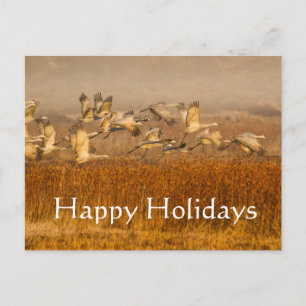 Cranes over golden field, Happy Holidays Holiday Postcard