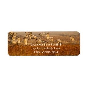 Cranes over golden field return address label