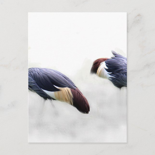 cranes pair couple custom personalise project home postcard (Front)