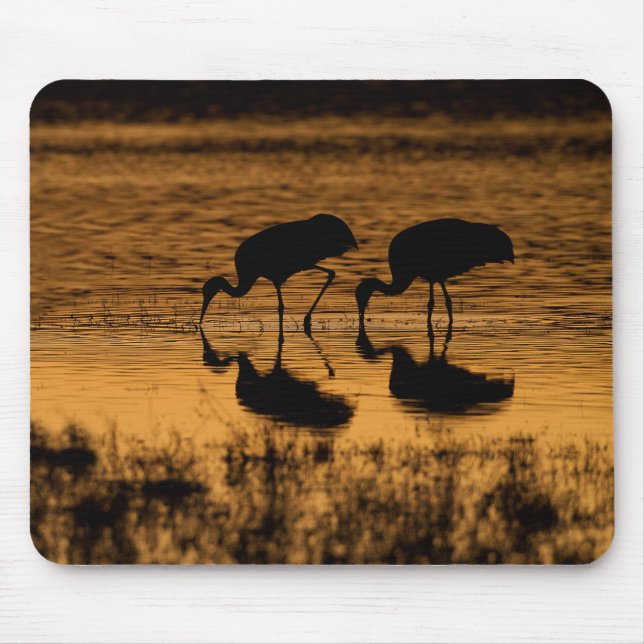 Cranes Silhouetted by the Sunset Mouse Pad (Front)