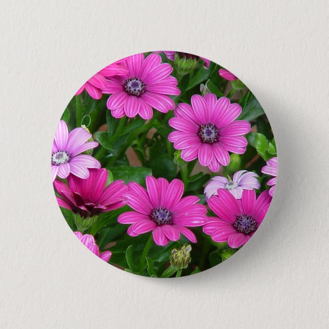 Cranesbill Geranium (Pink Flowers) Button (Front)
