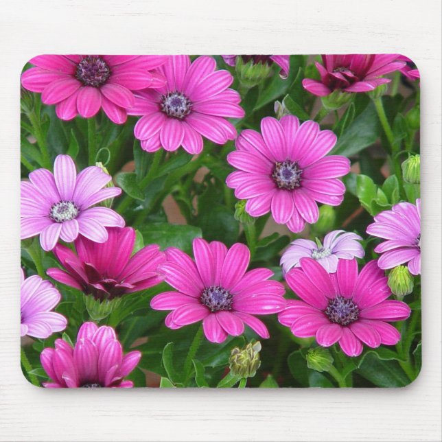 Cranesbill Geranium (Pink Flowers) Mousepad (Front)