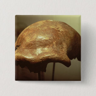 Cranium of a Neanderthal 15 Cm Square Badge