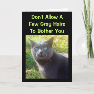 Cranky Cat Humourous Birthday Card
