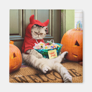 Cranky Devil Cat Magnet