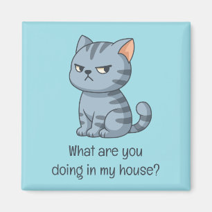 Cranky Grey Tabby Cat Funny Text Blue Magnet