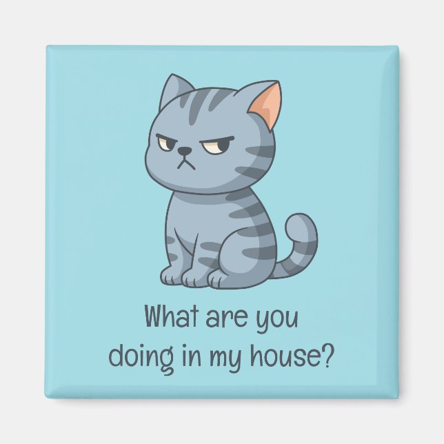Cranky Grey Tabby Cat Funny Text Blue Magnet (Front)