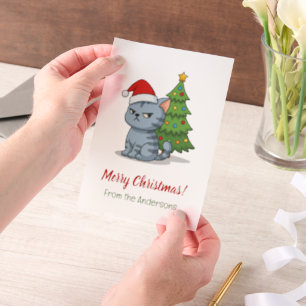 Cranky Grey Tabby Cat Red Hat Christmas Insert Vellum Invitations