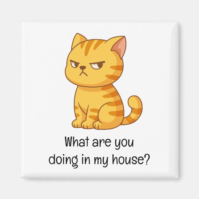 Cranky Orange Tabby Cat Funny Text Magnet (Front)